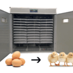 SayPro CKG Egg Hatching Incubator Machine