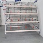 SayPro CKG Chicken Layer Cages Machine